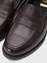 Shanghai Brown